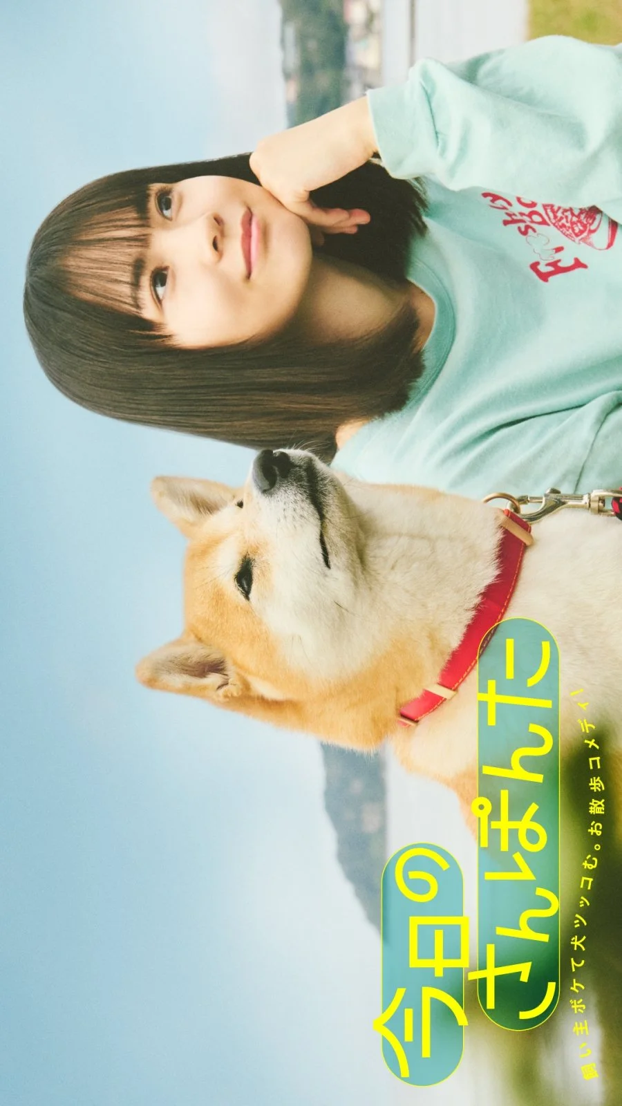 Сегодняшняя прогулка с Понтой